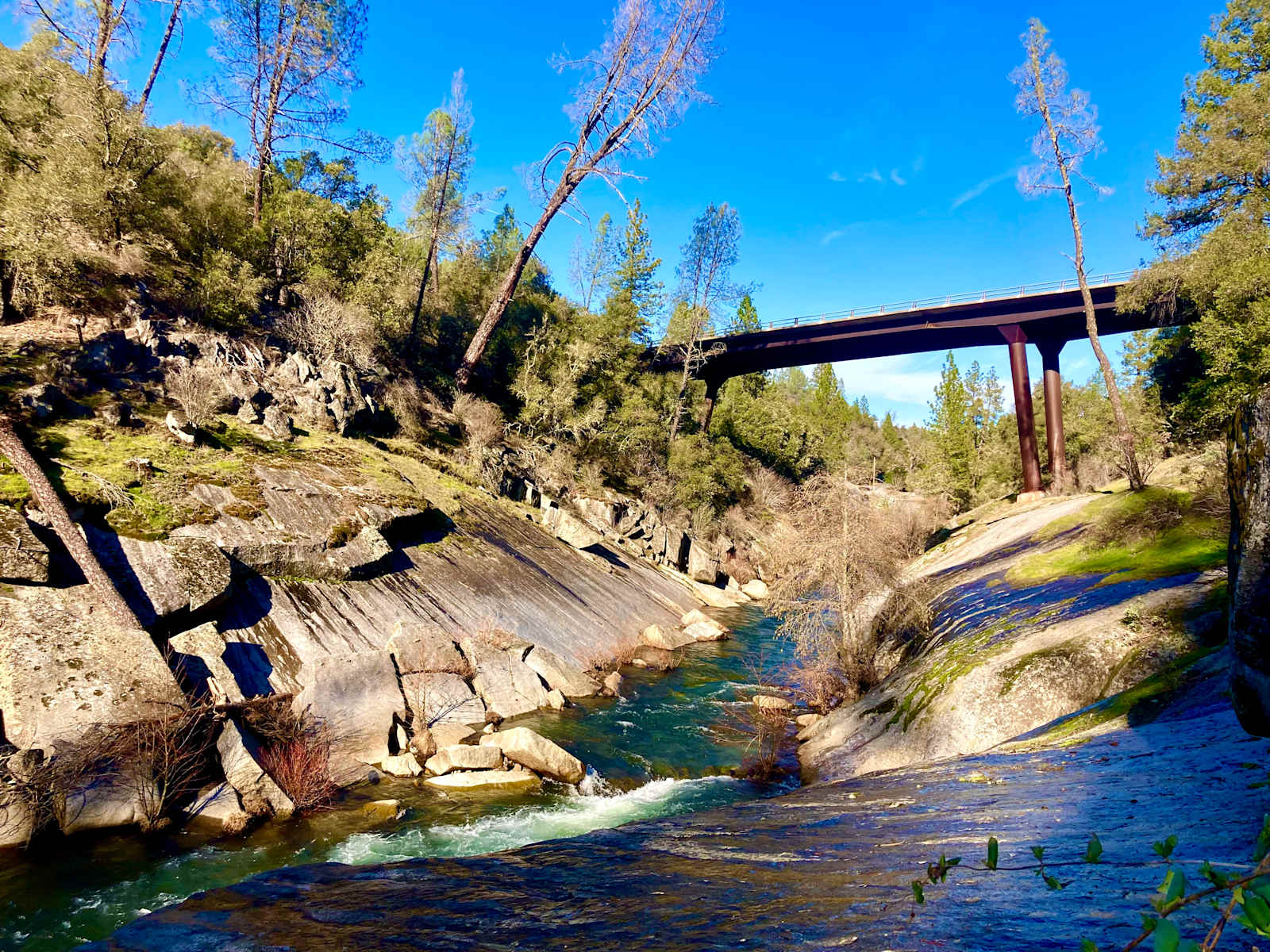 Camp ๐ Gold Dust Vineyard - Somerset, California - glamping.directory