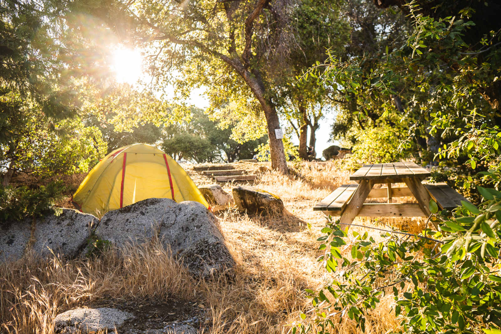 Camp ๐ Gold Dust Vineyard - Somerset, California - glamping.directory