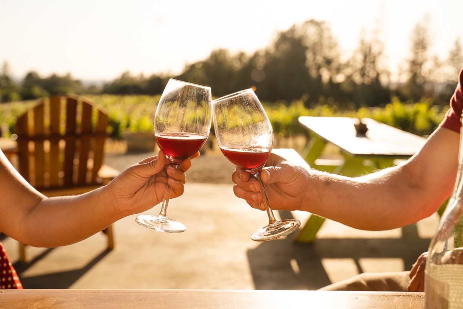 Camp ๐ Gold Dust Vineyard - Somerset, California - glamping.directory