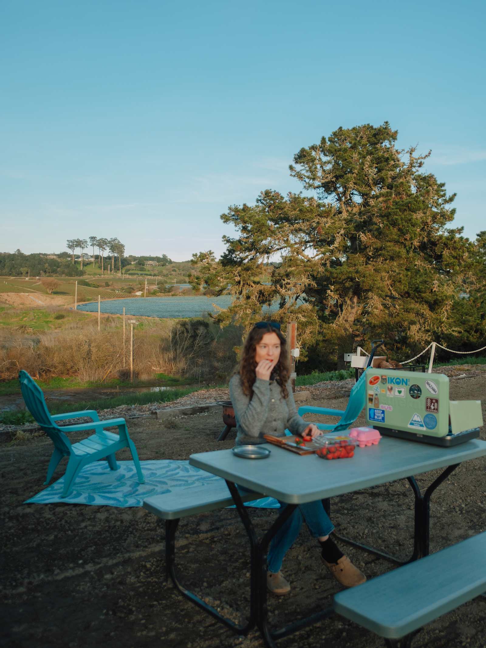 Strawberry Fields+Walk to the Beach - La Selva Beach, California - glamping.directory
