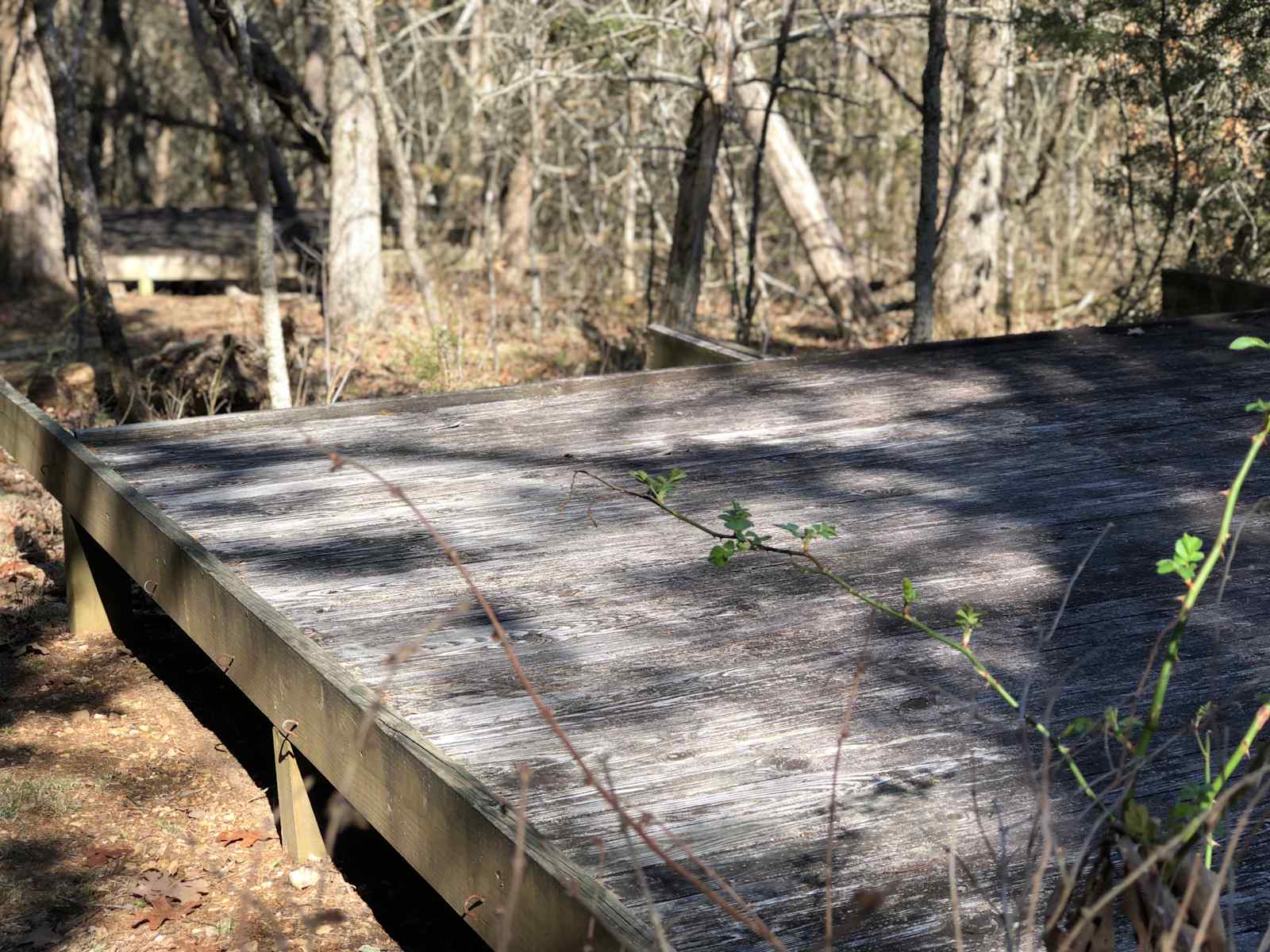Ozark Natural Science Center - Huntsville, Arkansas - glamping.directory