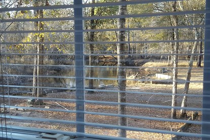 Claxton's Riverfront Family Fun: Cabin Adventures Await - Claxton, Georgia - glamping.directory