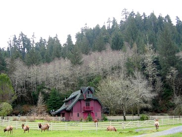 Upscale Farmhouse Cabin Encircled by Redwoods, Northern California - Orick, California - glamping.directory