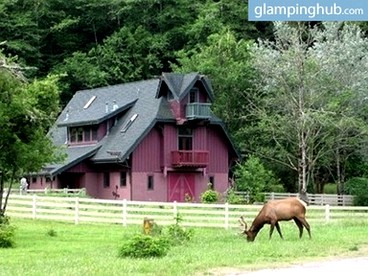 Upscale Farmhouse Cabin Encircled by Redwoods, Northern California - Orick, California - glamping.directory