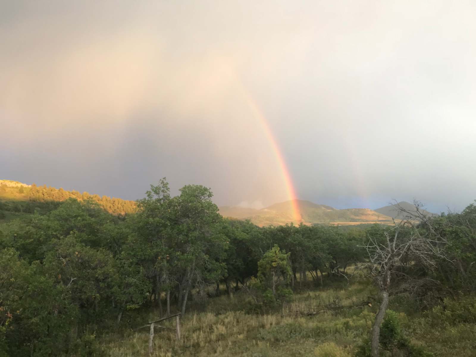 Hartwork Ranch - Placerville, Colorado - glamping.directory