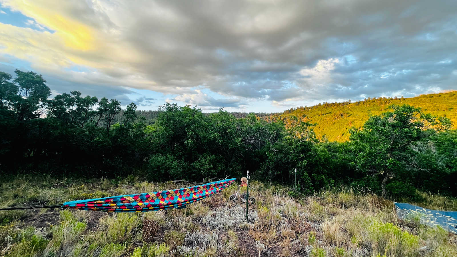 Hartwork Ranch - Placerville, Colorado - glamping.directory