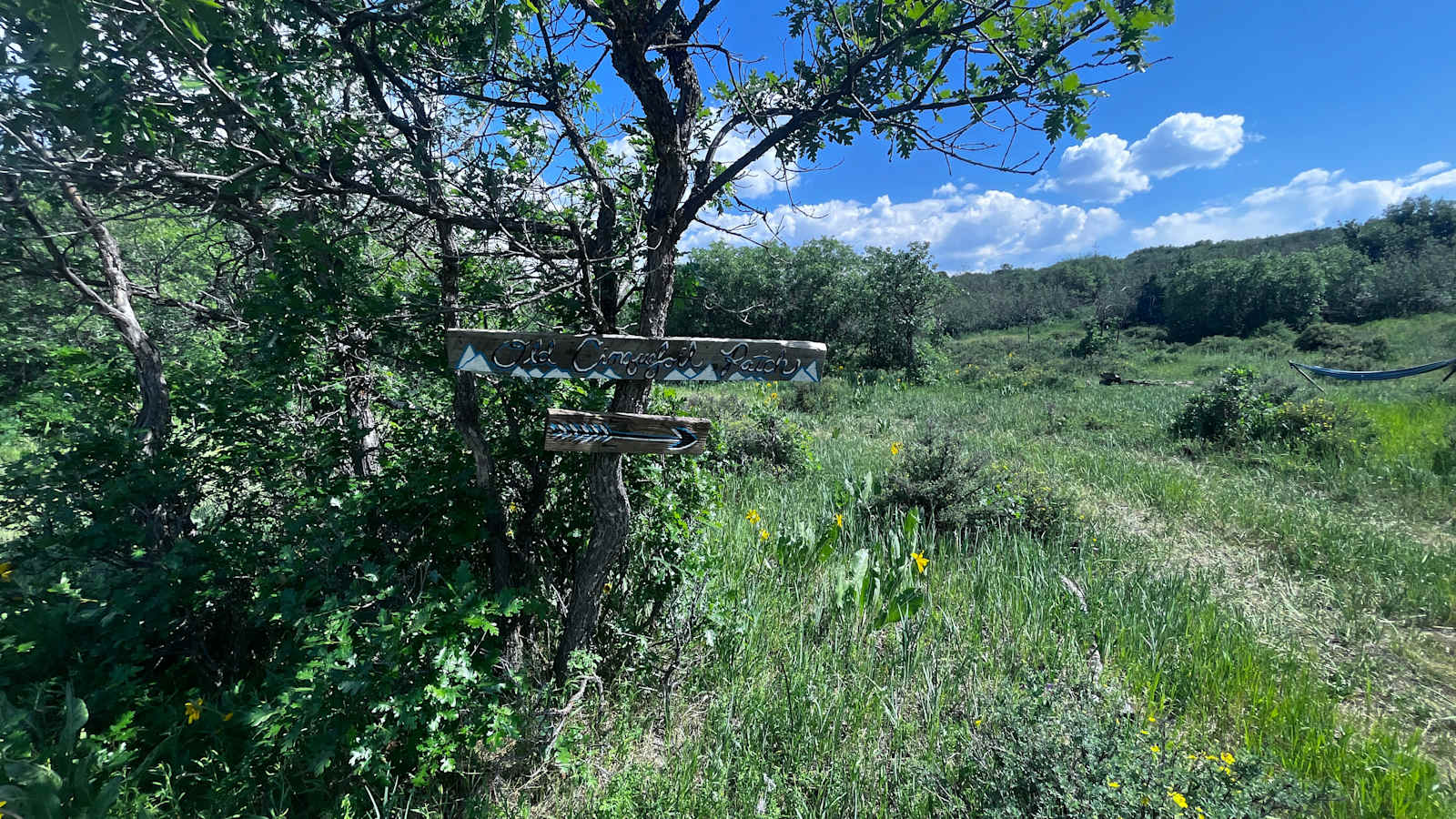 Hartwork Ranch - Placerville, Colorado - glamping.directory