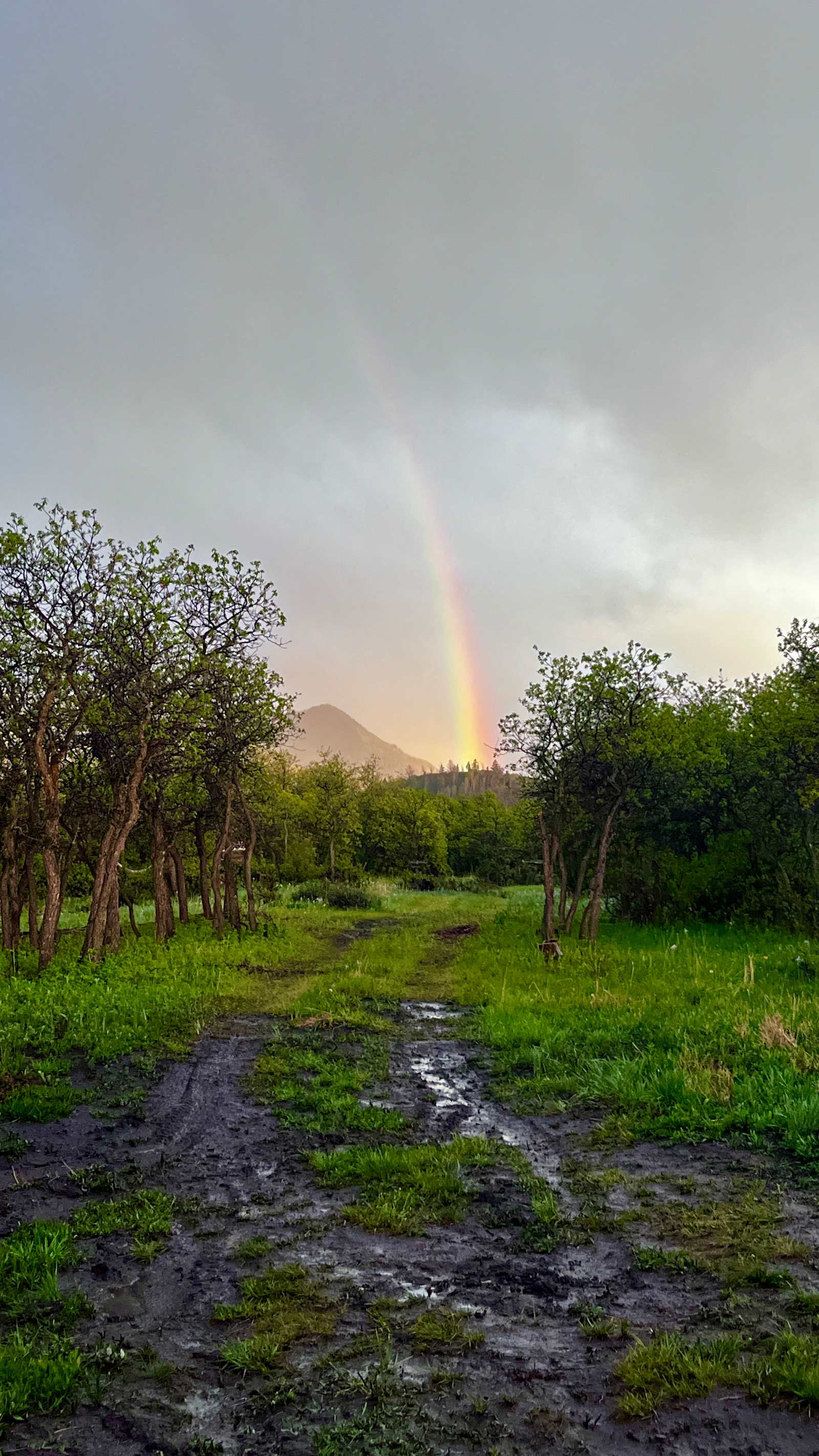 Hartwork Ranch - glamping.directory