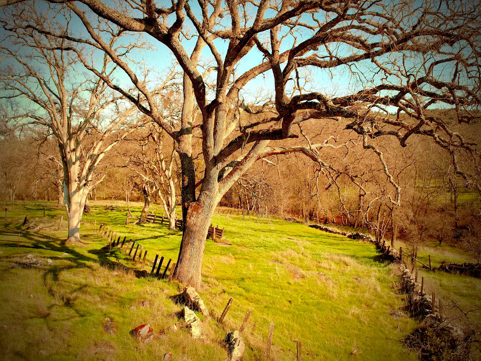 The Land Of Make+Believe - Murphys, California - glamping.directory