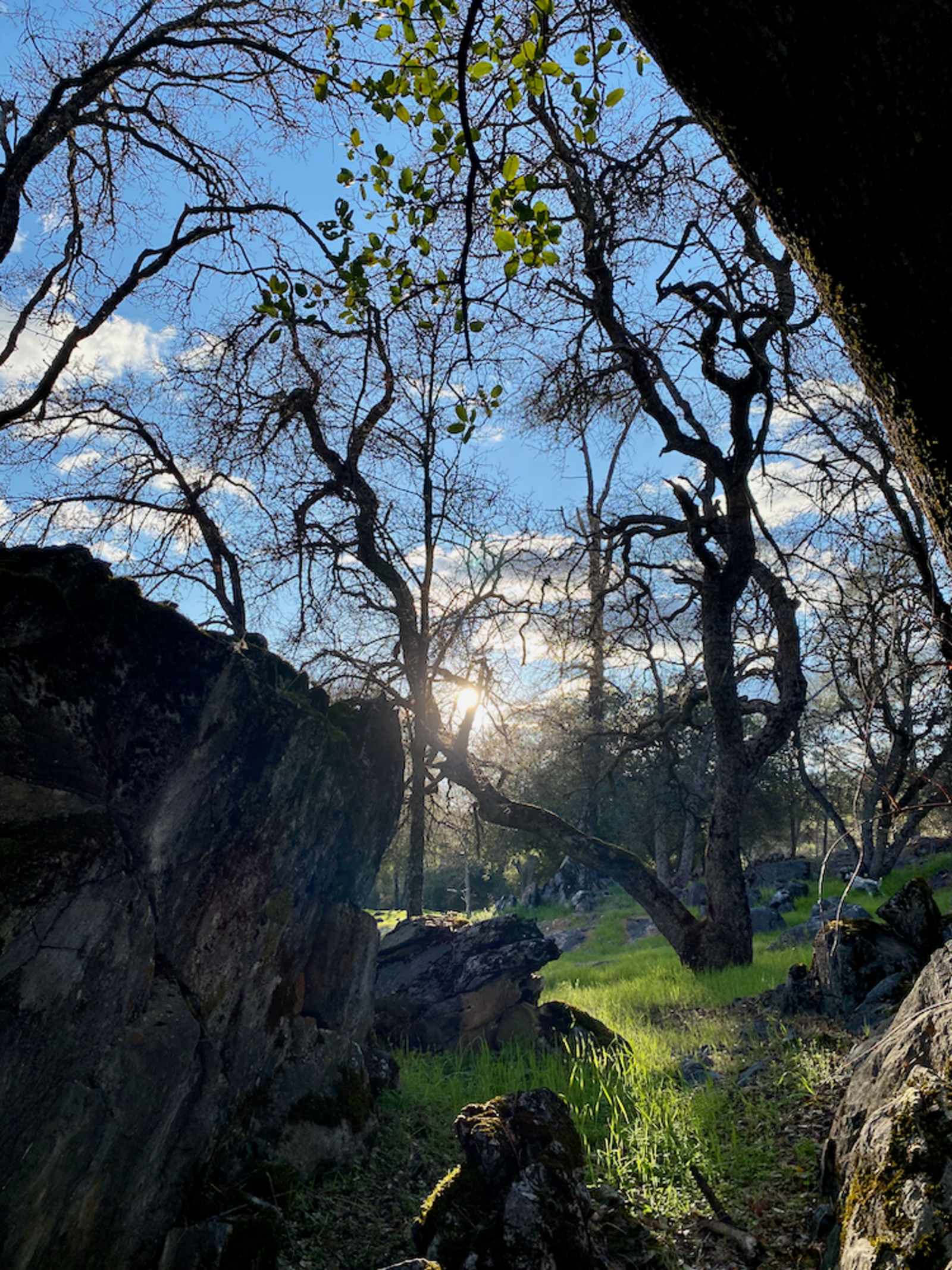 The Land Of Make+Believe - Murphys, California - glamping.directory
