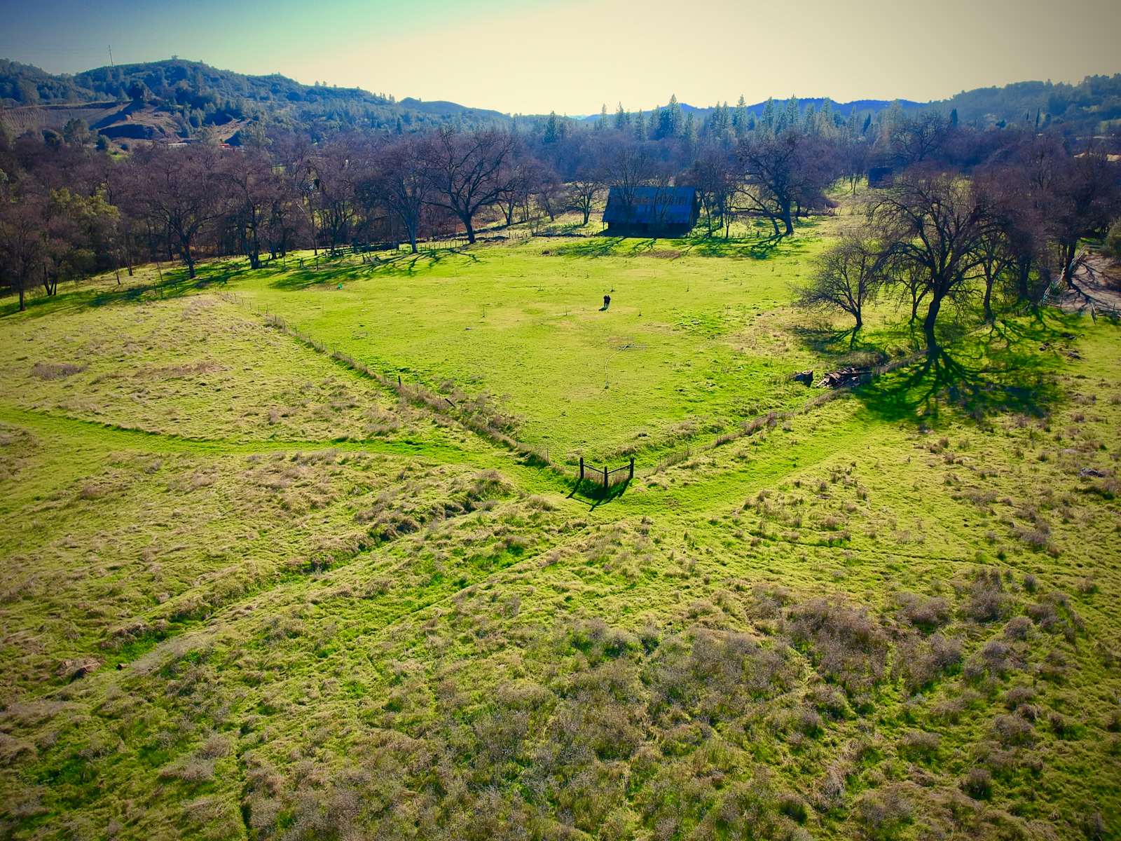 The Land Of Make+Believe - Murphys, California - glamping.directory