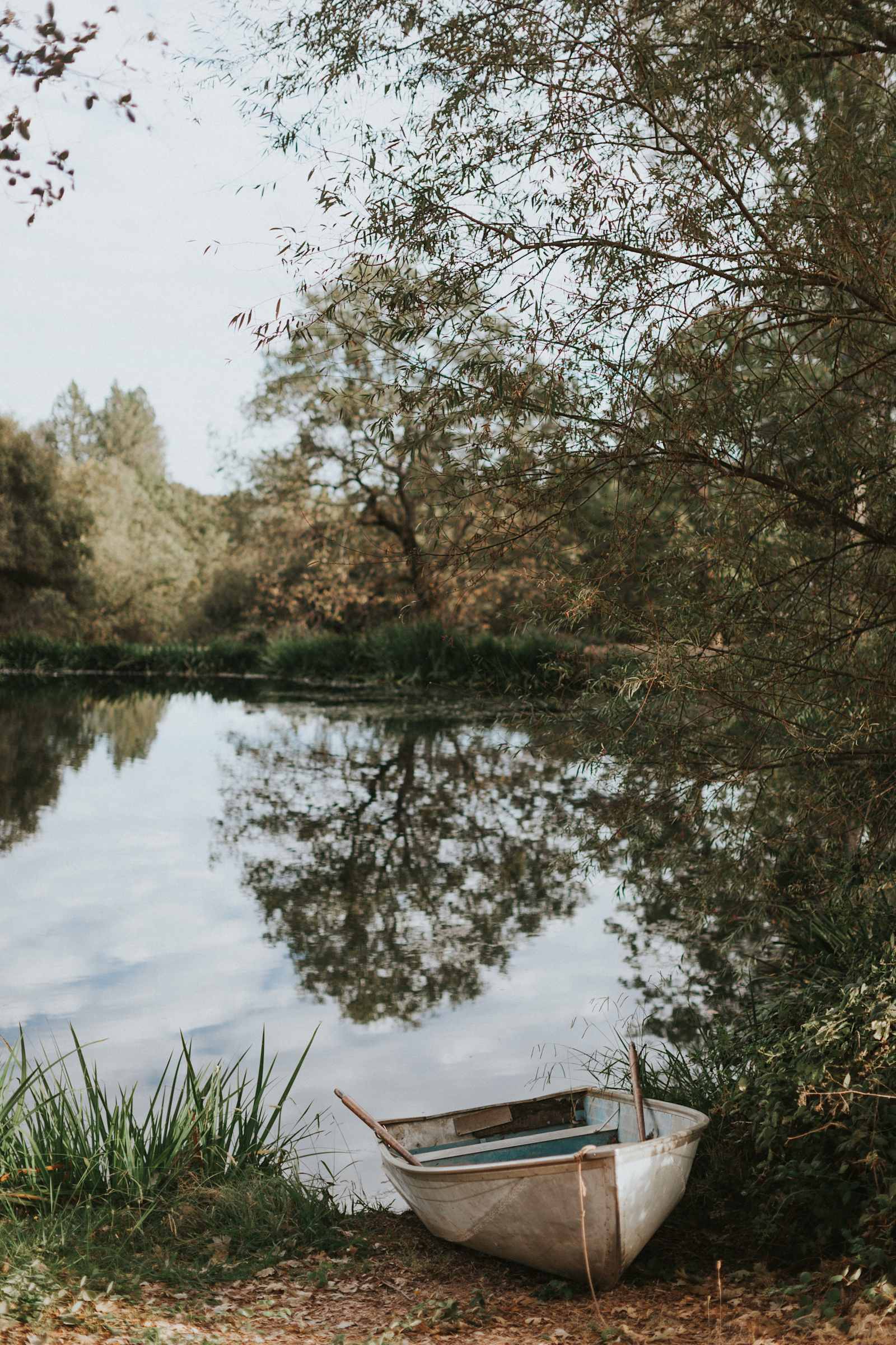 Animal Lovers Paradise - Greenwood, California - glamping.directory