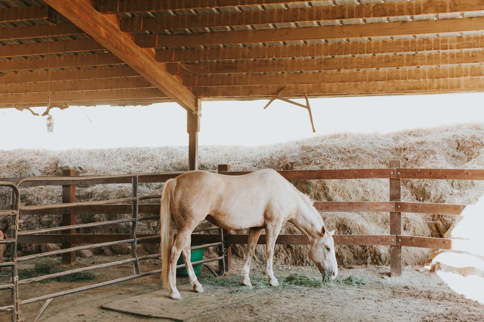 Animal Lovers Paradise - glamping.directory
