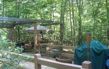 Secluded Tree House Cabin Tucked Away in the Woods near Blue Ridge, Georgia - Blue Ridge, Georgia - glamping.directory