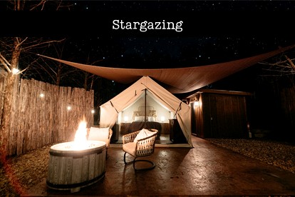 Cozy Safari Tent Perfect for a Glamping Experience in Branson, Missouri - Branson, Missouri - glamping.directory