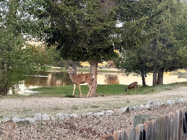 Pet-Friendly Riverfront Getaway with Outdoor Entertaining & Bonus Camper in Cascade, Idaho - Cascade, Idaho - glamping.directory