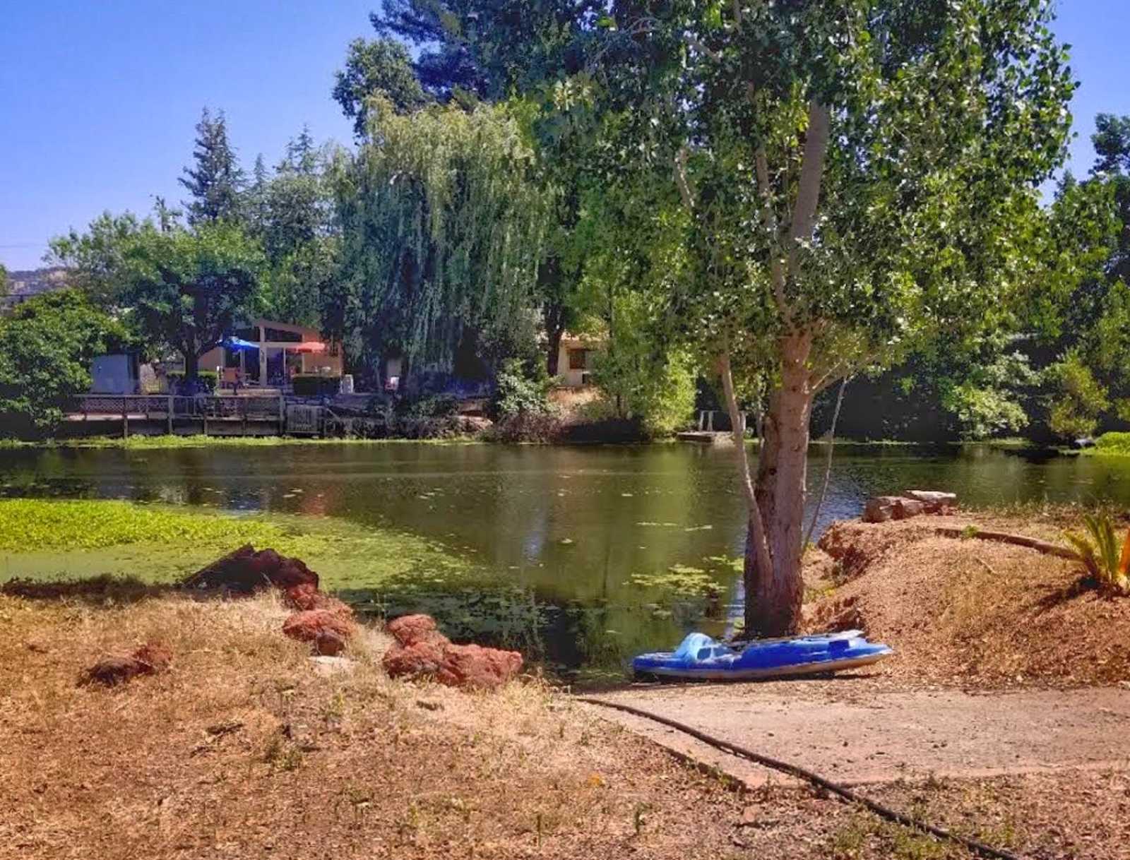 Rods-In on the waters edge - glamping.directory