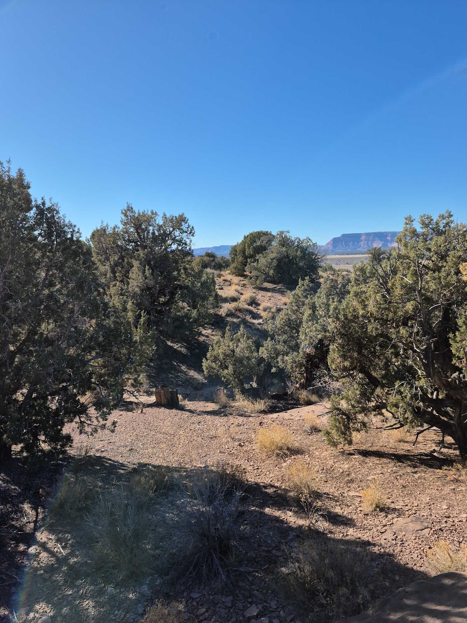 Top Of The Rock - Fredonia, Arizona - glamping.directory