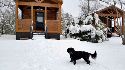 Unique Pet-Friendly Mountain Cabin Rental near Tryon International Equestrian Center - Mill Spring, North Carolina - glamping.directory