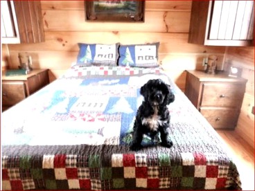 Unique Pet-Friendly Mountain Cabin Rental near Tryon International Equestrian Center - Mill Spring, North Carolina - glamping.directory