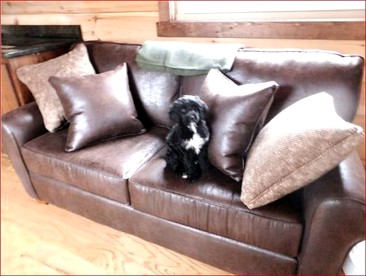 Unique Pet-Friendly Mountain Cabin Rental near Tryon International Equestrian Center - Mill Spring, North Carolina - glamping.directory