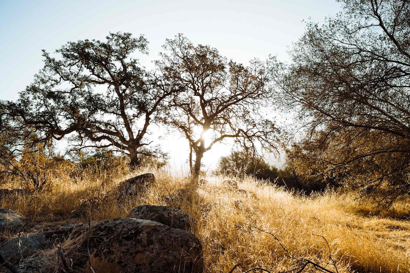 This is Outdoor Living - Springville, California - glamping.directory