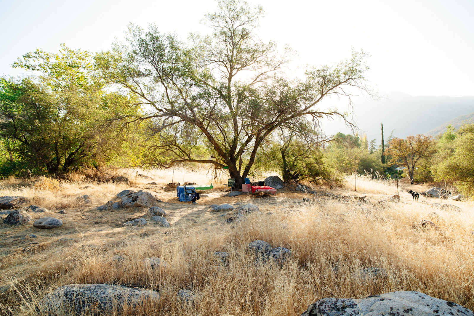 This is Outdoor Living - Springville, California - glamping.directory