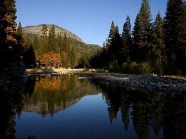 Cozy Riverside Cabin Rental with Easy Access to Chilnualna Falls in California - Wawona, California - glamping.directory