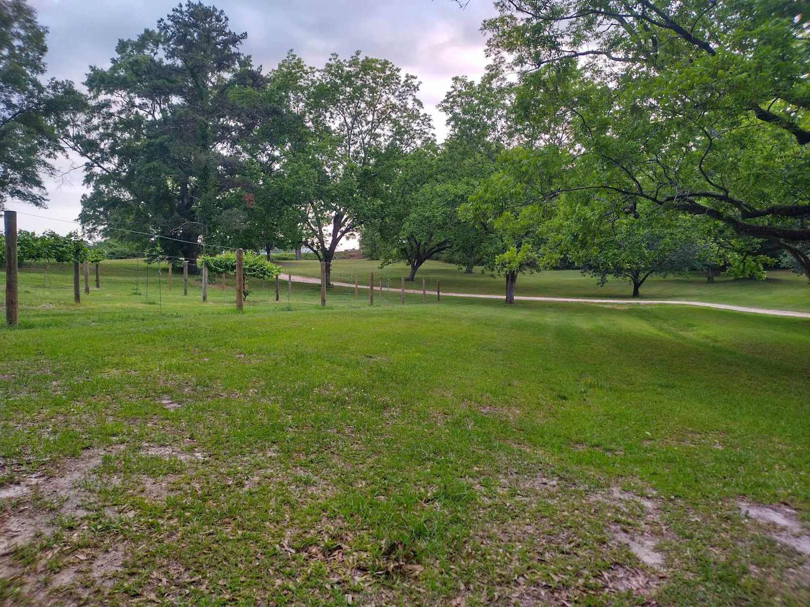 MK Vineyard and Farm.. - Lapine, Alabama - glamping.directory