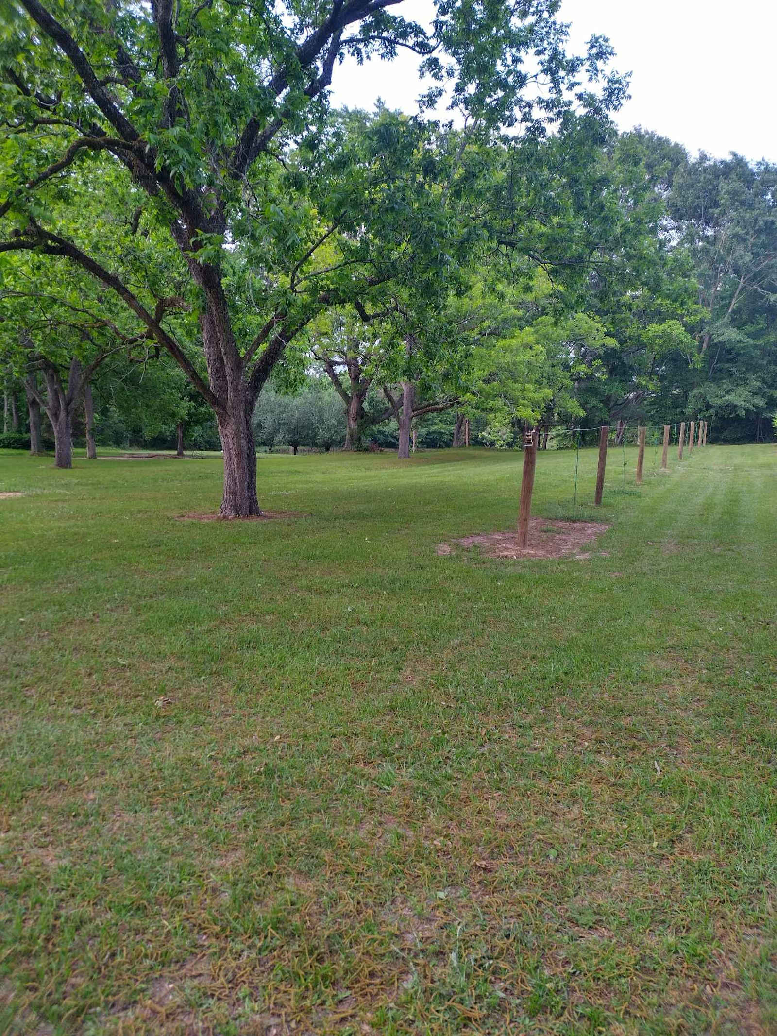 MK Vineyard and Farm.. - Lapine, Alabama - glamping.directory