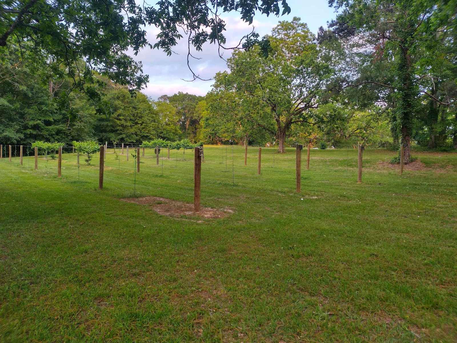 MK Vineyard and Farm.. - glamping.directory