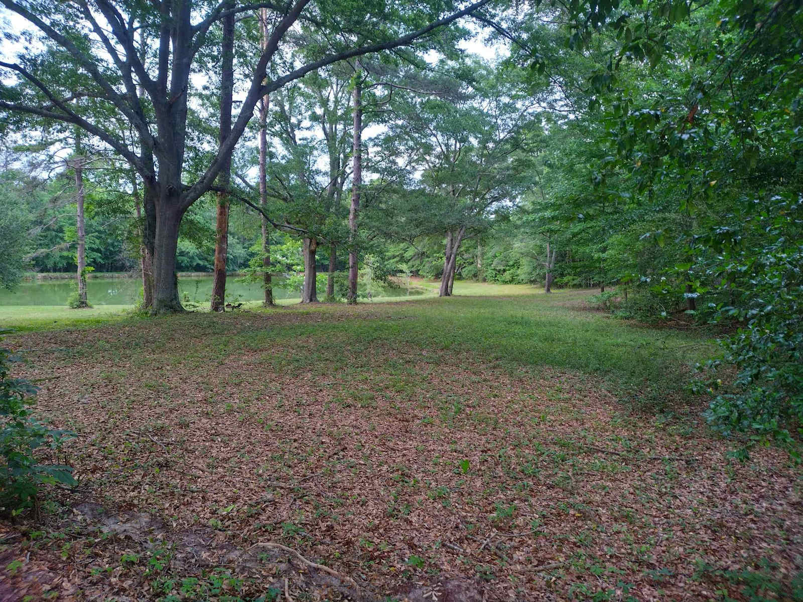 MK Vineyard and Farm.. - Lapine, Alabama - glamping.directory