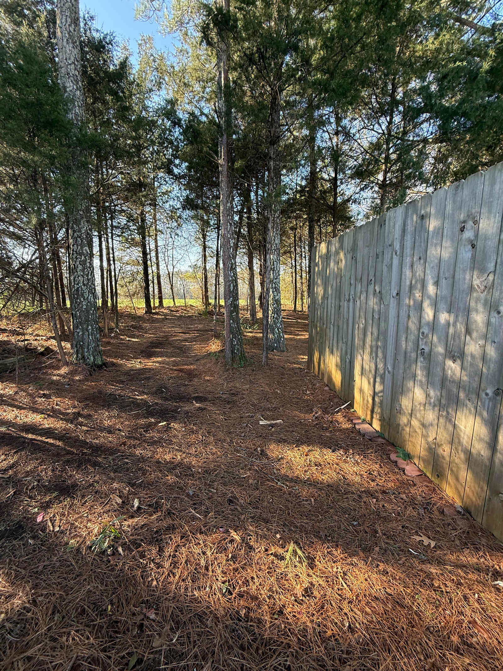 Getaway Hideaway Glampground - Madison, Alabama - glamping.directory