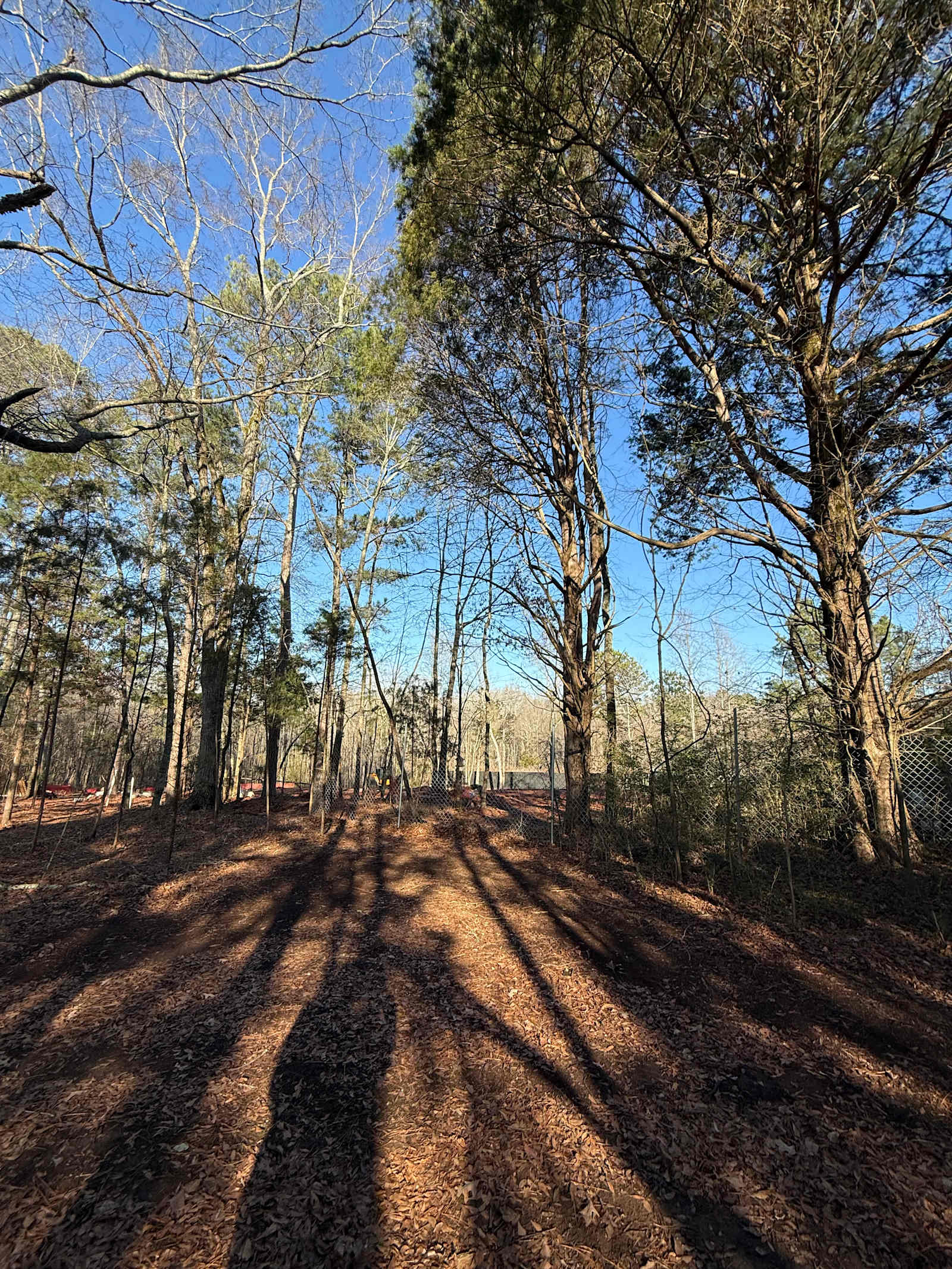 Getaway Hideaway Glampground - Madison, Alabama - glamping.directory