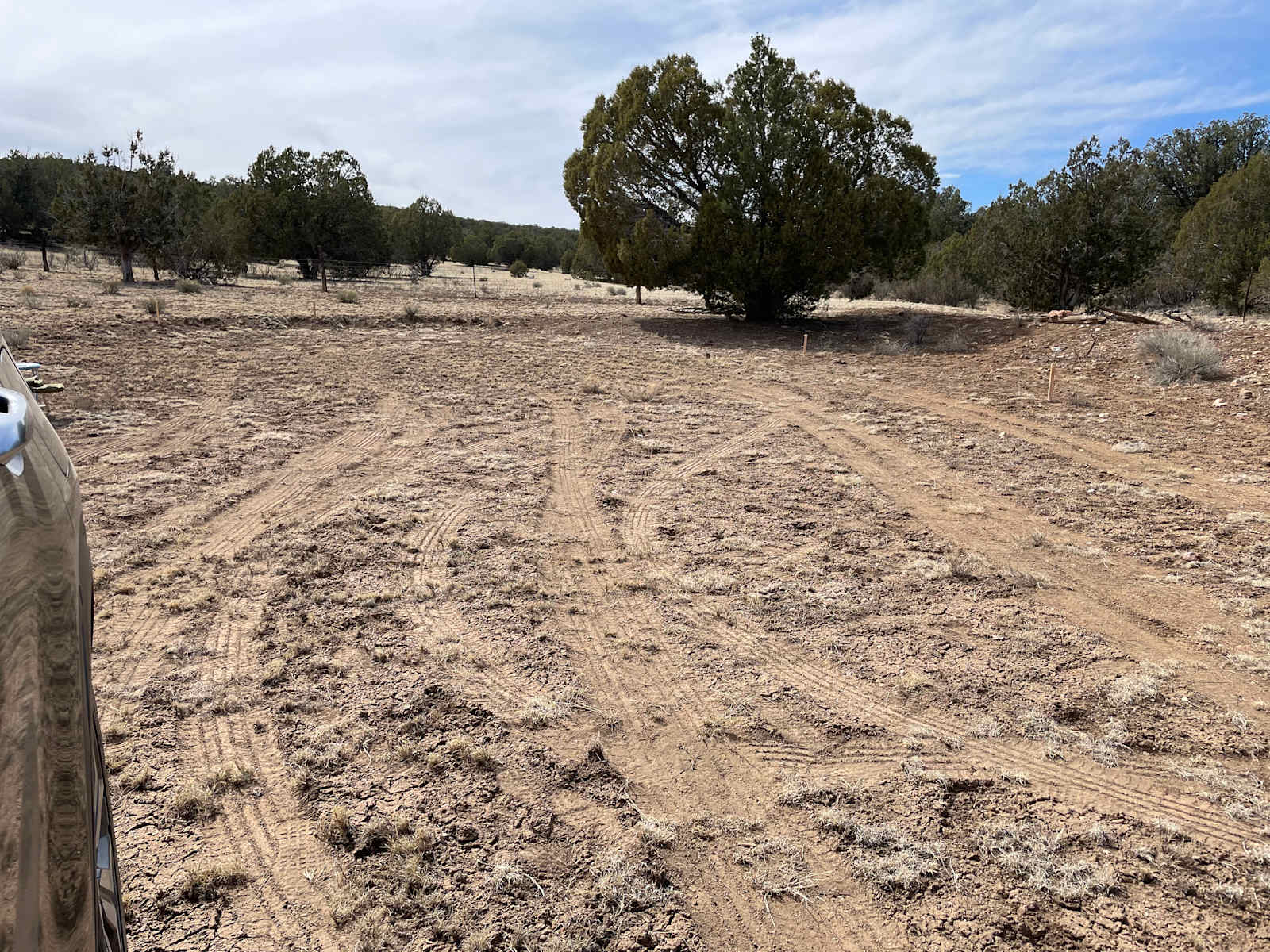 Camping near Seligman, AZ! - glamping.directory