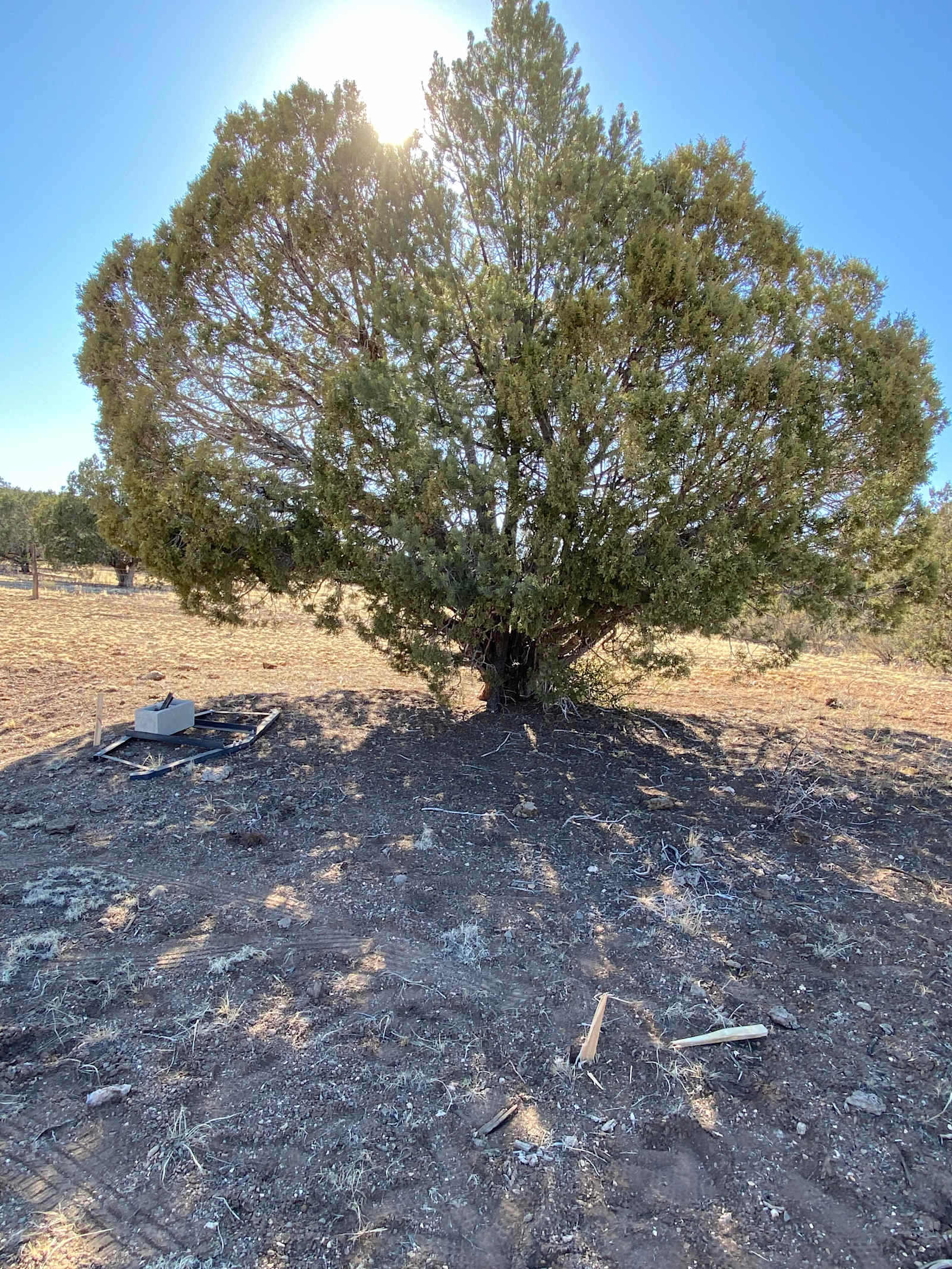 Camping near Seligman, AZ! - Seligman, Arizona - glamping.directory