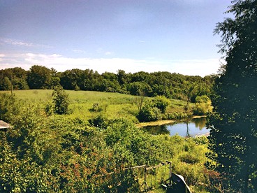 Cozy Vacation Rental Overlooking Idyllic Prairie Land near Jacksonville, Illinois - Murrayville, Illinois - glamping.directory