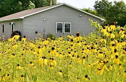 Cozy Vacation Rental Overlooking Idyllic Prairie Land near Jacksonville, Illinois - glamping.directory