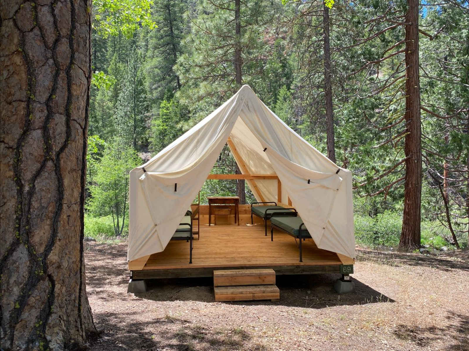 Oakland Feather River Camp - Quincy, California - glamping.directory