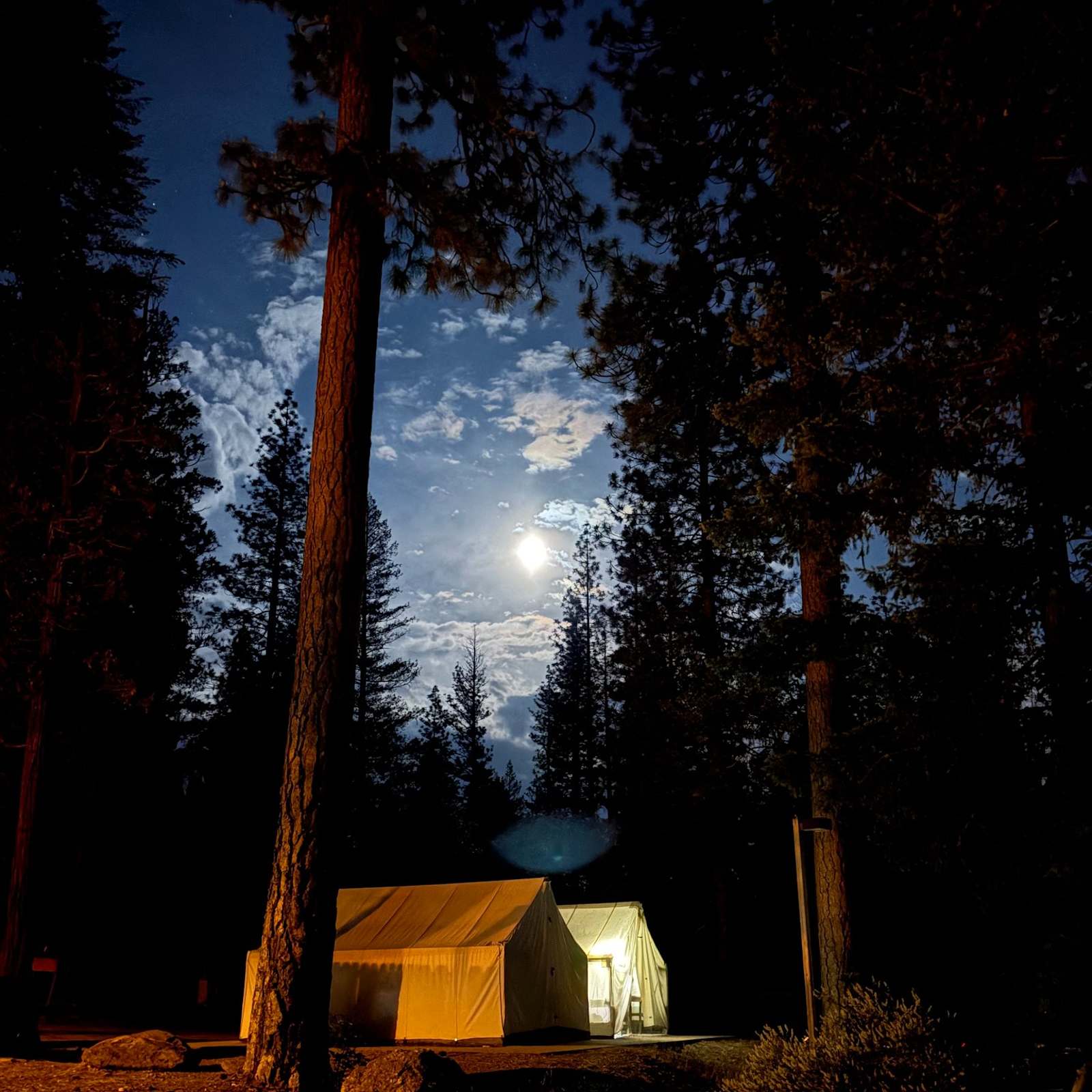 Oakland Feather River Camp - Quincy, California - glamping.directory