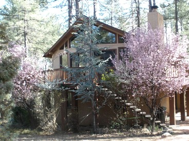 Cabin Getaway near to Pine, Arizona that is Perfect for a Family Vacation - Pine, Arizona - glamping.directory