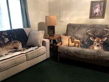Cabin Getaway near to Pine, Arizona that is Perfect for a Family Vacation - Pine, Arizona - glamping.directory