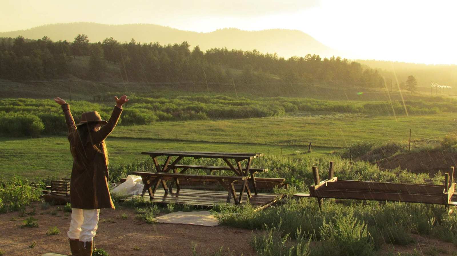 Green Acres Herbal Retreat - glamping.directory