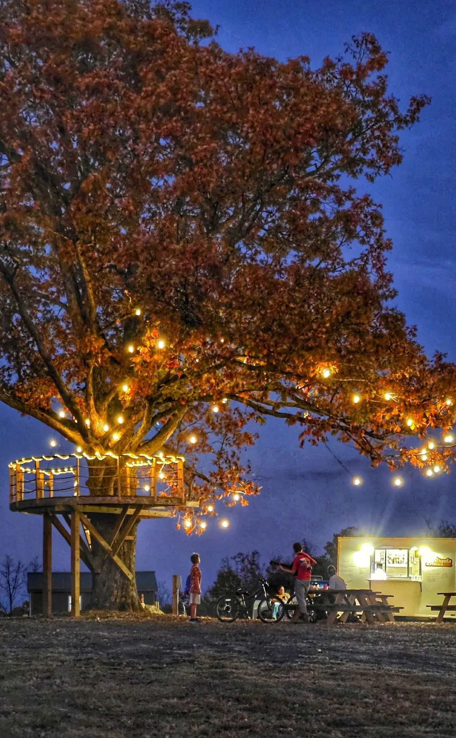 Grassy Road Cabins and Camping - Marshall, Arkansas - glamping.directory