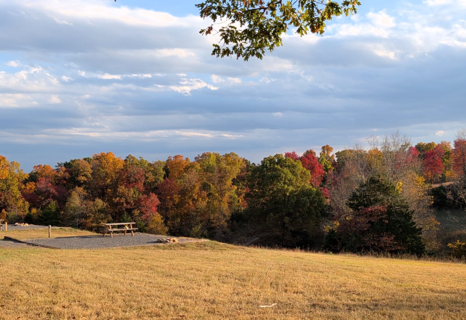 Grassy Road Cabins and Camping - Marshall, Arkansas - glamping.directory