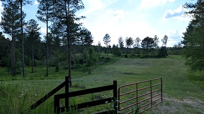 Off-Grid Glamping in Lyerley, Perfect to Explore the Northwest Georgia Mountains - Lyerly, Georgia - glamping.directory