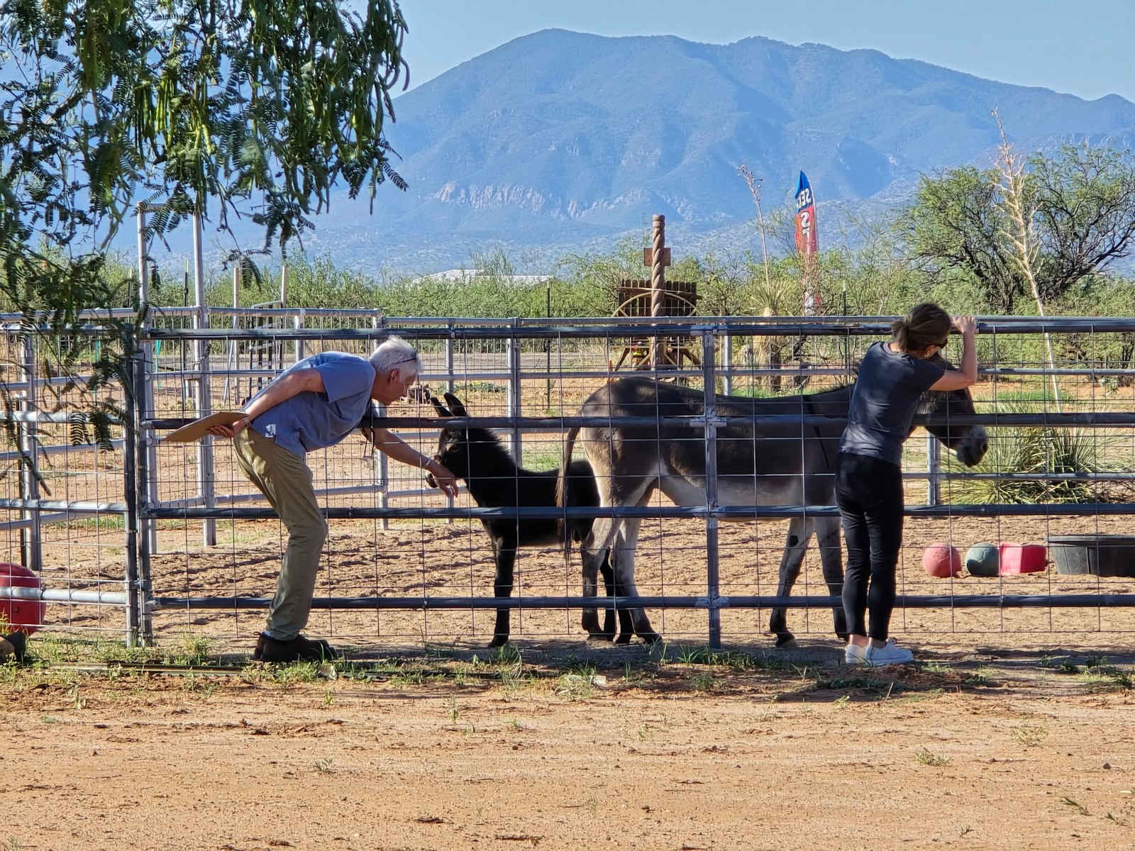 Karla's Hummingbird Guest Ranch - Huachuca City, Arizona - glamping.directory