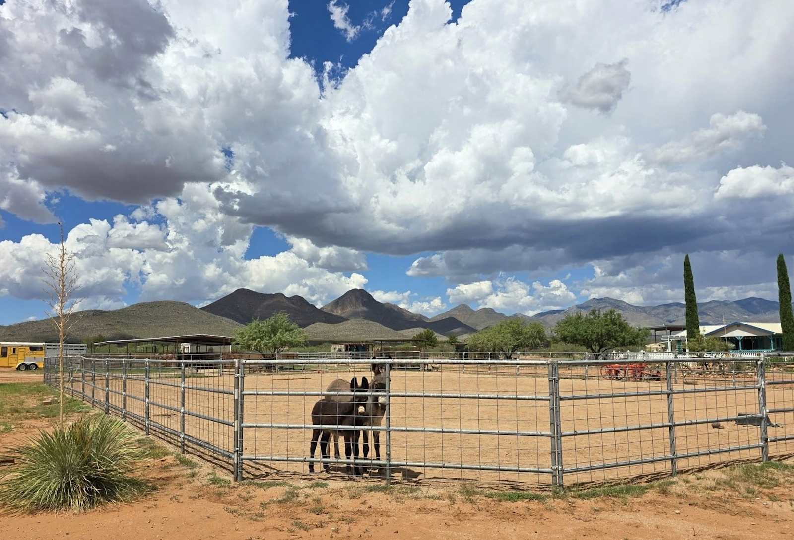 Karla's Hummingbird Guest Ranch - Huachuca City, Arizona - glamping.directory