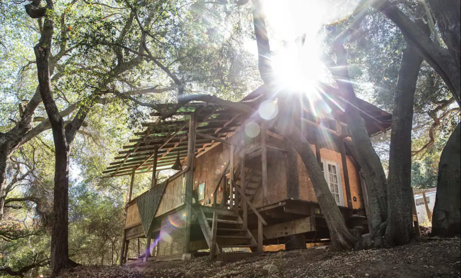 Topanga Oasis - glamping.directory