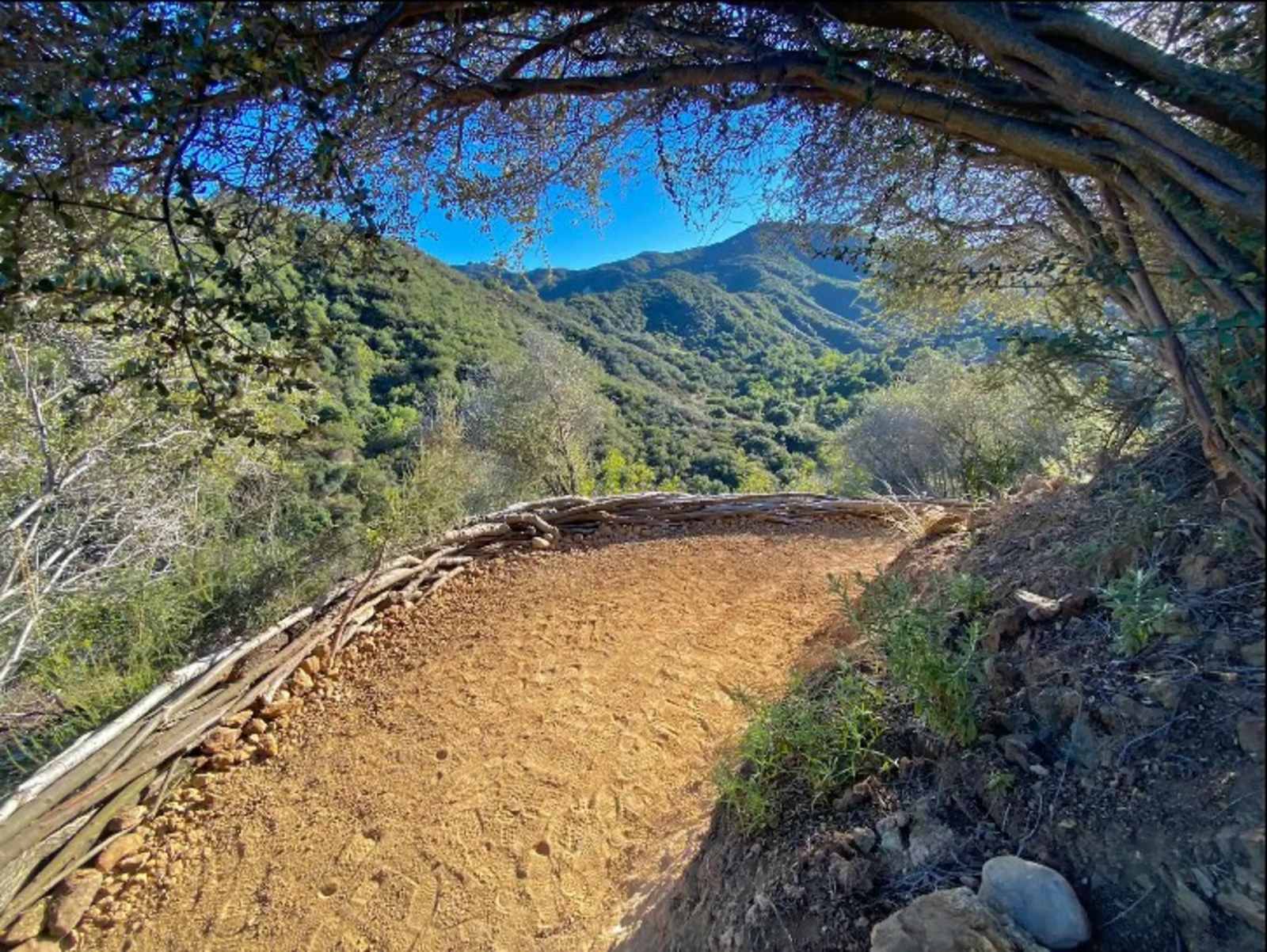 Topanga Oasis - Topanga, California - glamping.directory